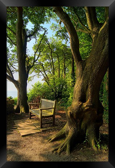 Bench with a View, Durlston Bay near Swanage Framed Print by Darren Galpin
