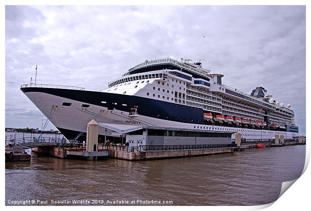 Celebrity Cruise Ship Infinity Print by Paul Scoullar