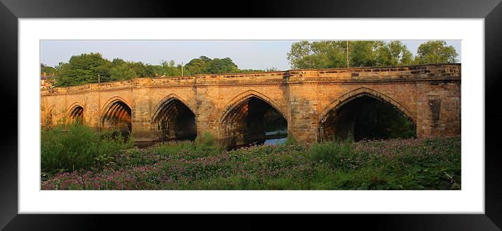 Croft tees bridge Framed Mounted Print by paul wheatley