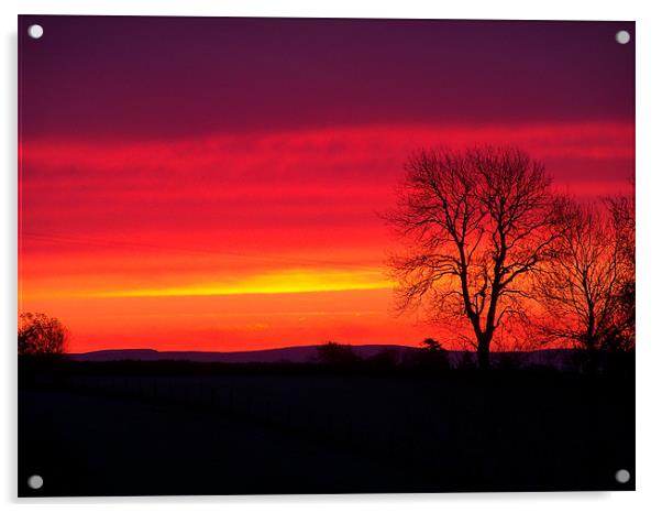 Glowing sunrise Acrylic by paul wheatley