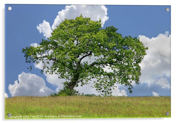 A Beautiful Tree Acrylic by Julie Coe