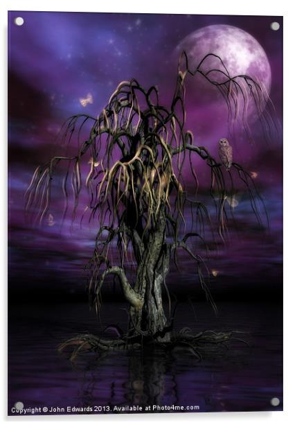 The Tree of Sawols Acrylic by John Edwards