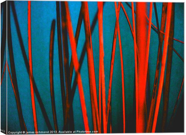 Red Wicker - Abstract Canvas Print by james richmond