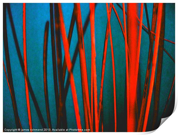 Red Wicker - Abstract Print by james richmond