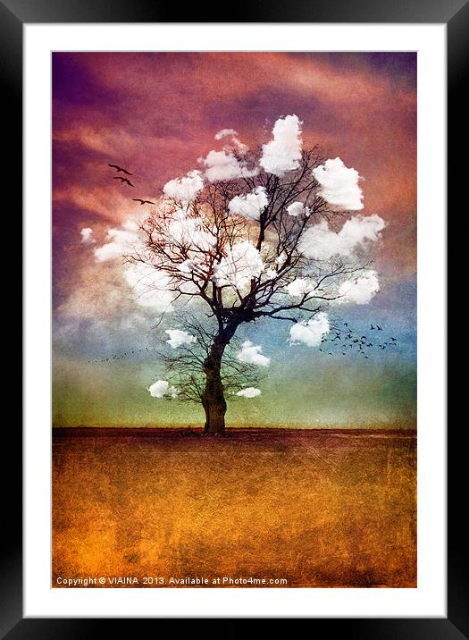 ATMOSPHERIC TREE - PICK ME A CLOUD Framed Mounted Print by