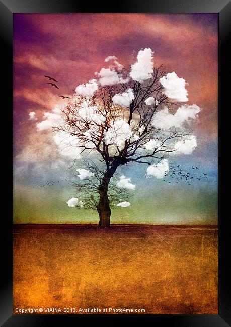 ATMOSPHERIC TREE - PICK ME A CLOUD Framed Print by