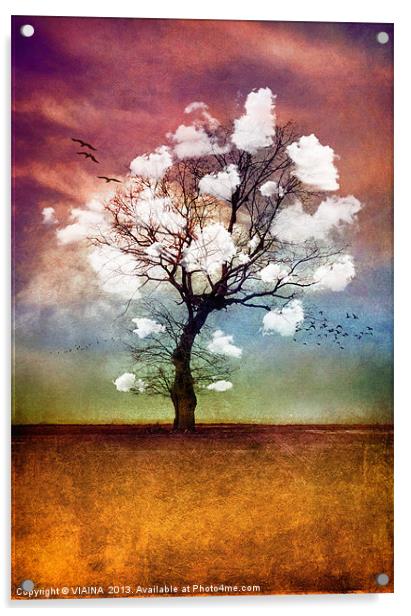 ATMOSPHERIC TREE - PICK ME A CLOUD Acrylic by