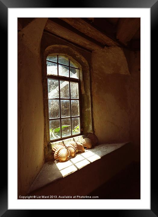Sunny Window Framed Mounted Print by Liz Ward