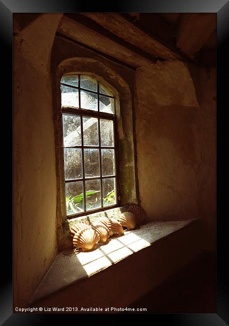 Sunny Window Framed Print by Liz Ward