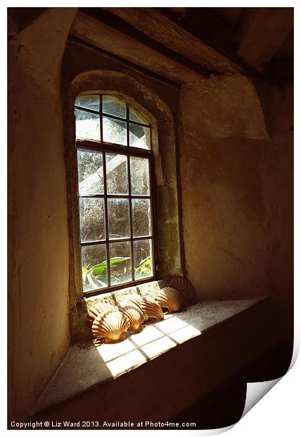 Sunny Window Print by Liz Ward