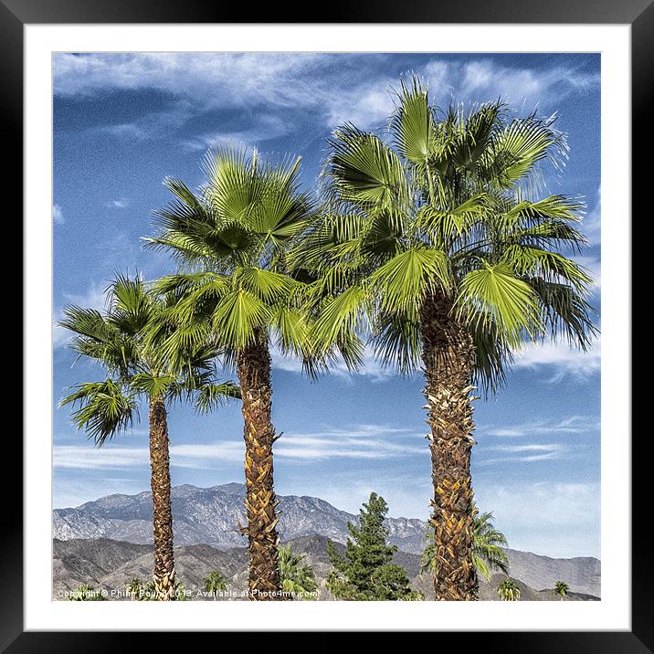 Three Palm Trees Framed Mounted Print by Philip Pound