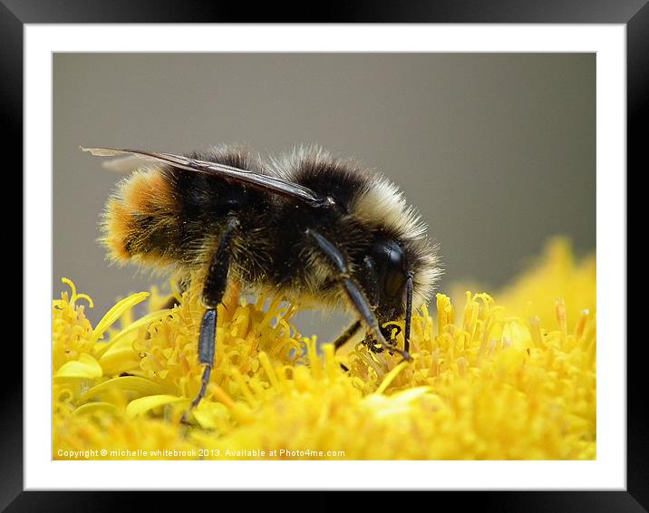 Bumble friends Framed Mounted Print by michelle whitebrook