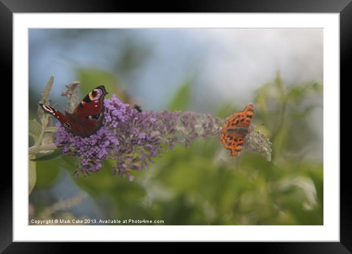 Butterfly bokeh Framed Mounted Print by Mark Cake