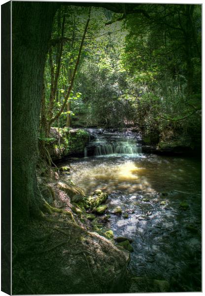Goit Stock Falls Canvas Print by Beverley Middleton