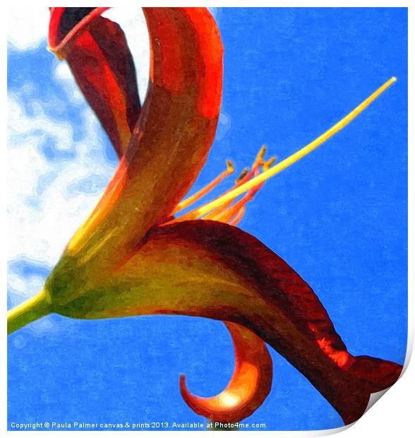 Red lily Print by Paula Palmer canvas