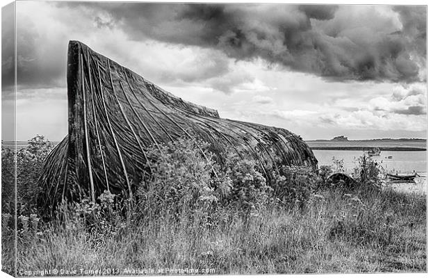 Lindifarne Boat Shed and Bamburgh Castle Canvas Print by Dave Turner