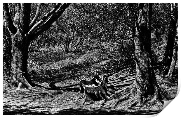 Bench of Shadows Print by Andrew Stephen