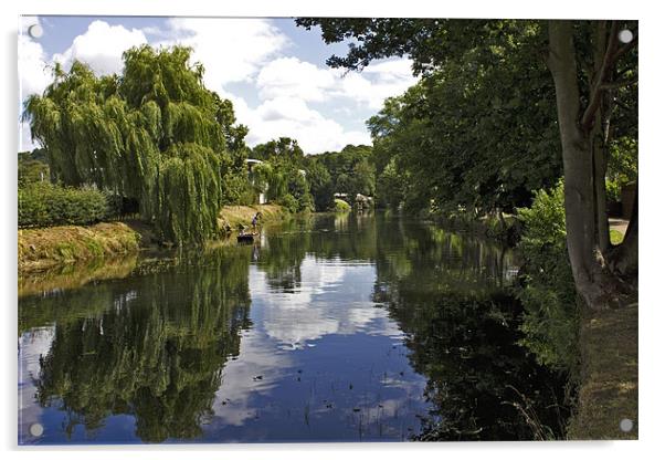 Punting On Norwich Riverside Acrylic by Darren Burroughs