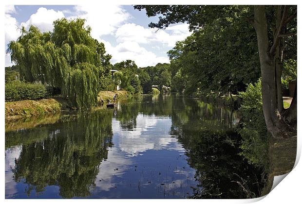 Punting On Norwich Riverside Print by Darren Burroughs