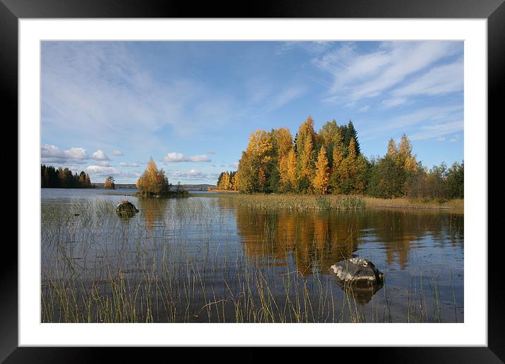 Autumn colors on the lake Framed Mounted Print by Hemmo Vattulainen