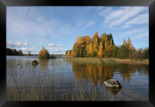 Autumn colors on the lake Framed Print by Hemmo Vattulainen