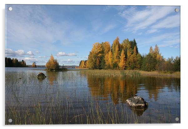 Autumn colors on the lake Acrylic by Hemmo Vattulainen