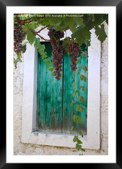 Grapes Framed Mounted Print by Elaine Elespe