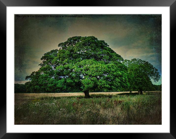 The Tree Framed Mounted Print by Kim Slater