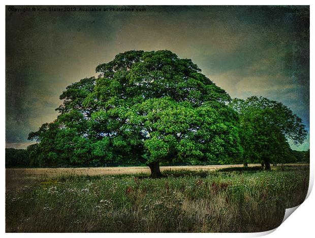 The Tree Print by Kim Slater