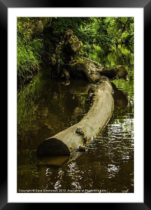 Mystic Log Framed Mounted Print by Dave Emmerson
