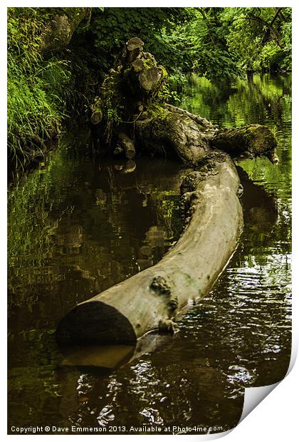 Mystic Log Print by Dave Emmerson