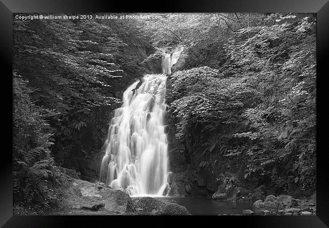 gleno waterfall in black and white Framed Print by william sharpe