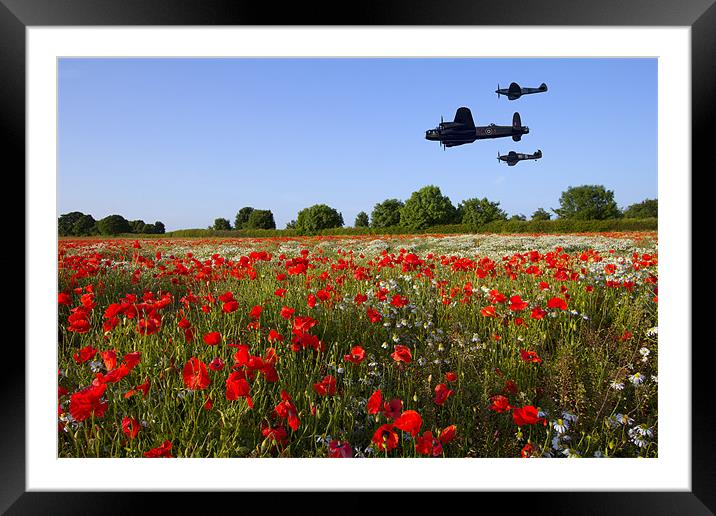 memorial flight Framed Mounted Print by Northeast Images