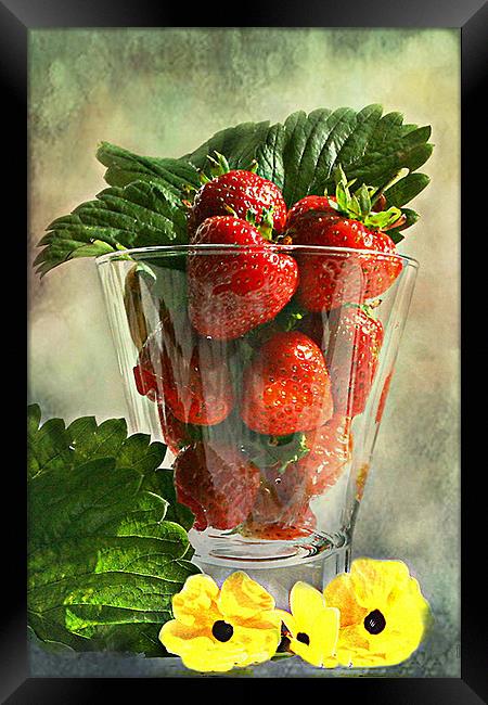 Strawberries anyone ? Framed Print by Irene Burdell