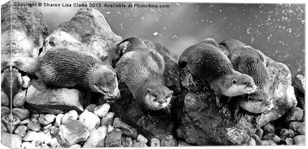 Otters in mono Canvas Print by Sharon Lisa Clarke
