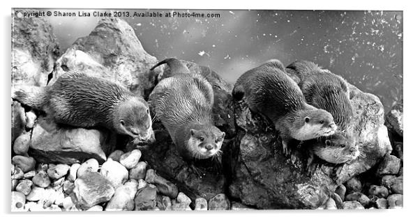 Otters in mono Acrylic by Sharon Lisa Clarke