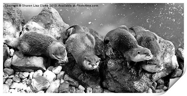 Otters in mono Print by Sharon Lisa Clarke