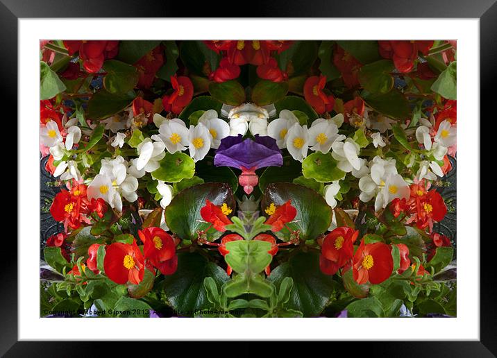 Flowers double reflection Framed Mounted Print by Robert Gipson