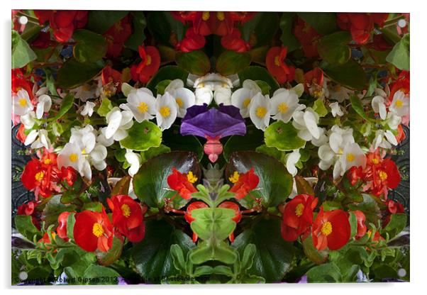 Flowers double reflection Acrylic by Robert Gipson
