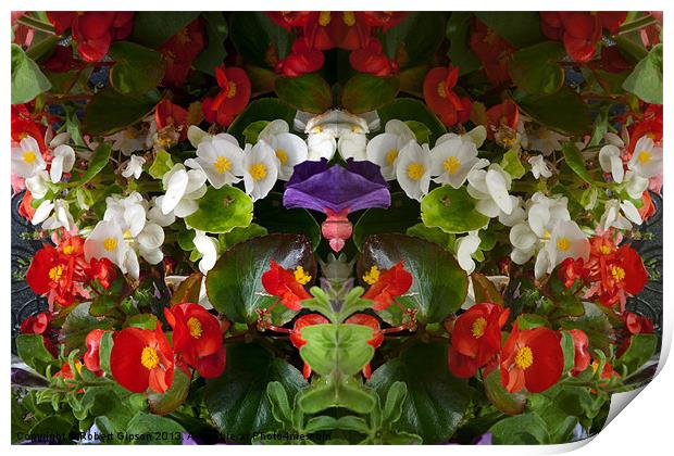 Flowers double reflection Print by Robert Gipson