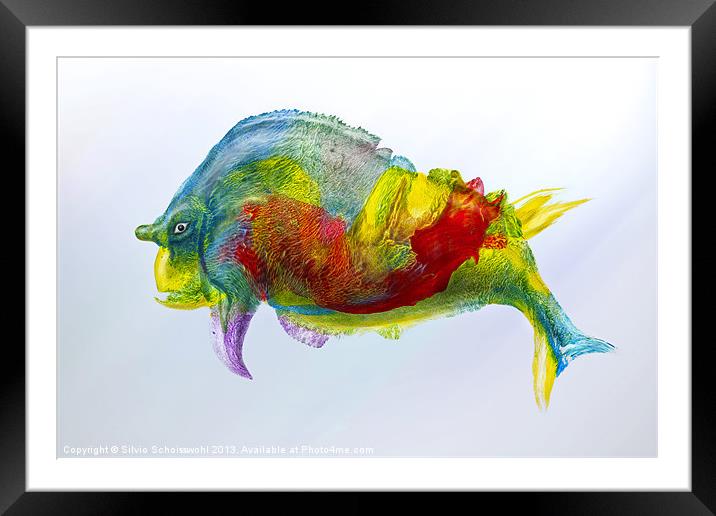 bullfish Framed Mounted Print by Silvio Schoisswohl