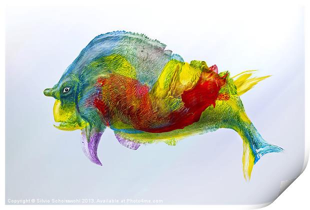 bullfish Print by Silvio Schoisswohl