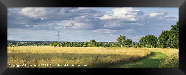 Track beside treelined Rapeseed field at sunset. Framed Print by Liam Grant