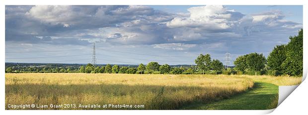 Track beside treelined Rapeseed field at sunset. Print by Liam Grant