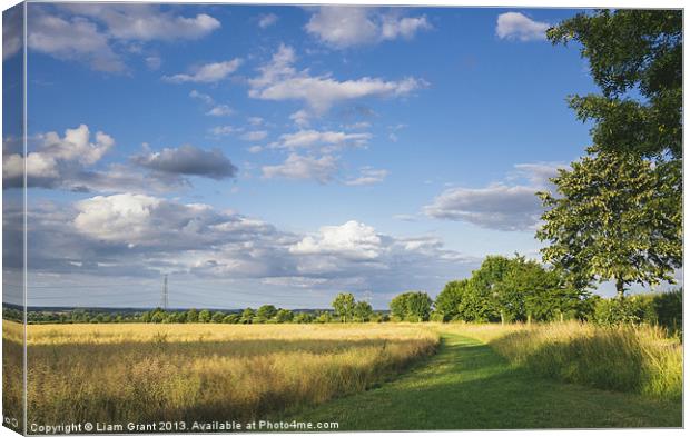 Track beside treelined Rapeseed field at sunset. Canvas Print by Liam Grant