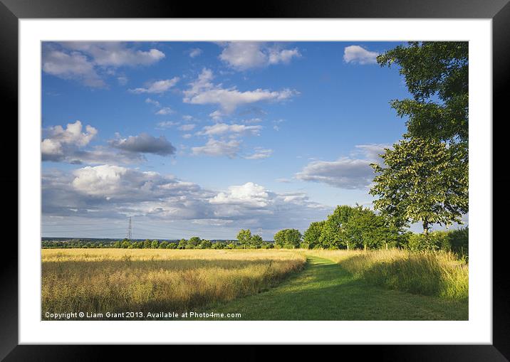 Track beside treelined Rapeseed field at sunset. Framed Mounted Print by Liam Grant