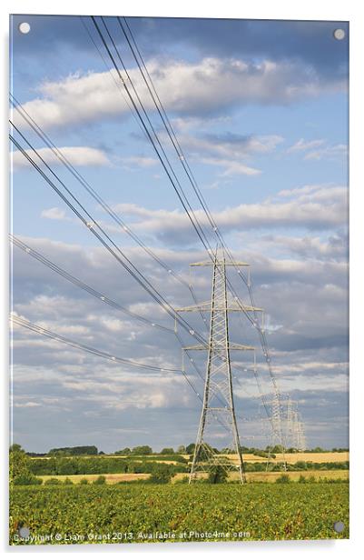 Evening light illuminating electricity pylons. Acrylic by Liam Grant