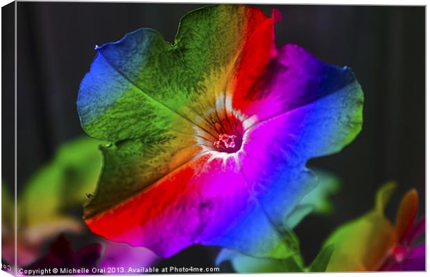 Rainbow Petunia Canvas Print by Michelle Orai