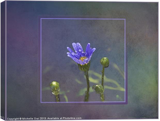 Little blue flower with raindrops Canvas Print by Michelle Orai