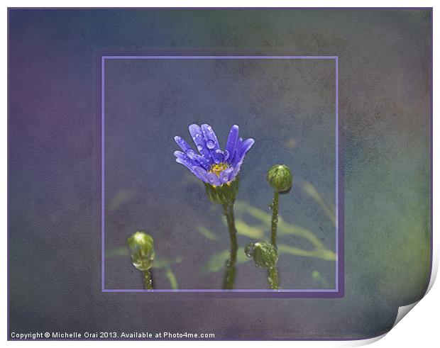 Little blue flower with raindrops Print by Michelle Orai